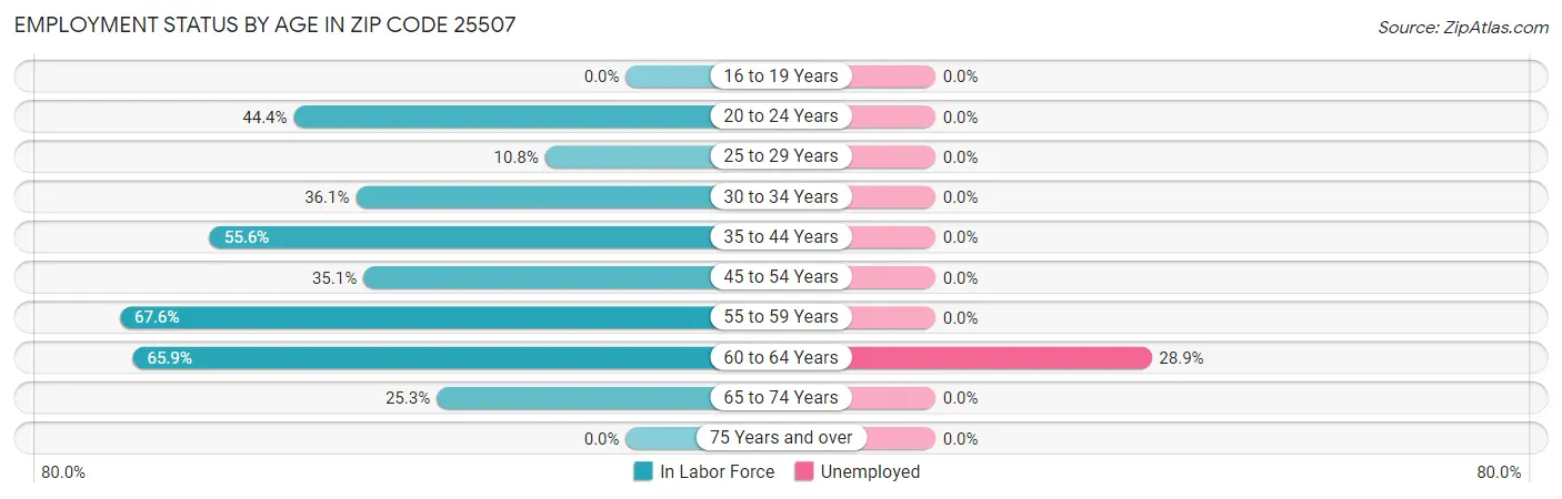 Employment Status by Age in Zip Code 25507