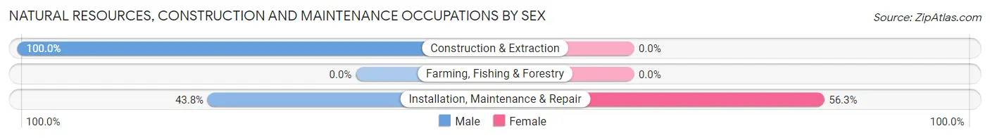 Natural Resources, Construction and Maintenance Occupations by Sex in Zip Code 25541