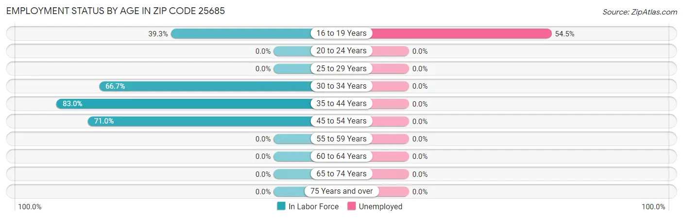 Employment Status by Age in Zip Code 25685