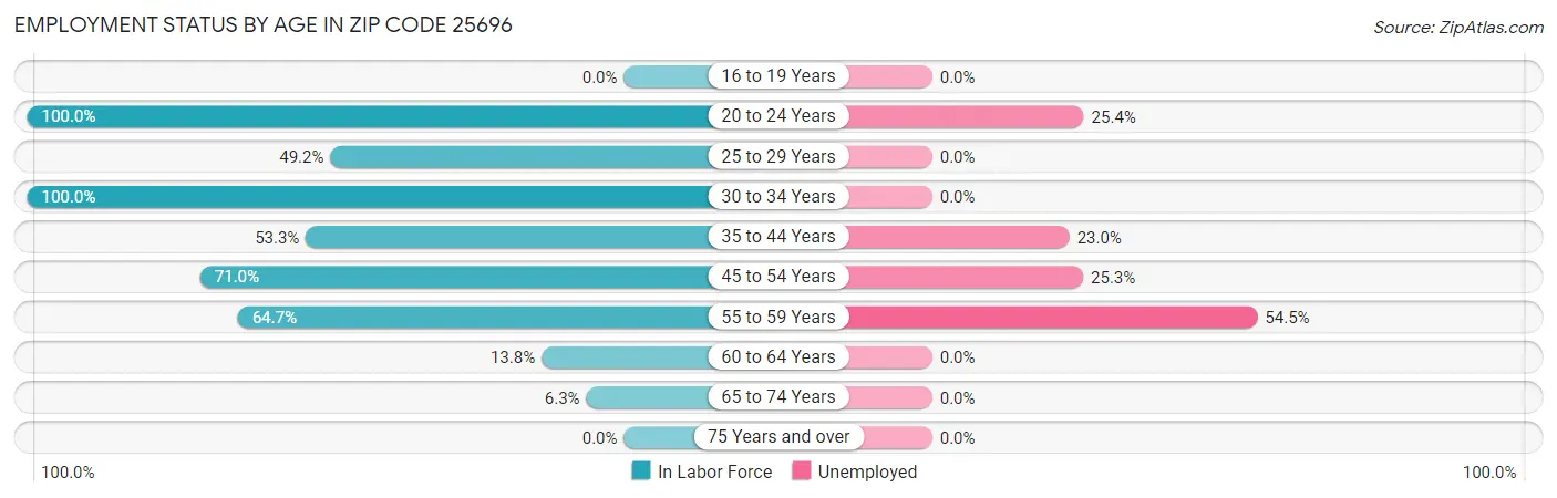 Employment Status by Age in Zip Code 25696