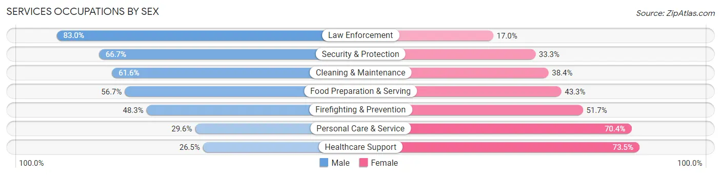 Services Occupations by Sex in Zip Code 25704