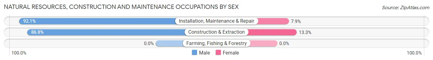 Natural Resources, Construction and Maintenance Occupations by Sex in Zip Code 25801