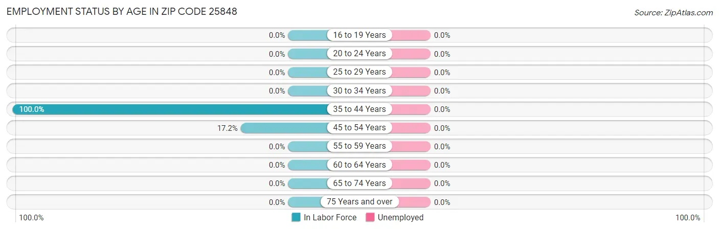 Employment Status by Age in Zip Code 25848