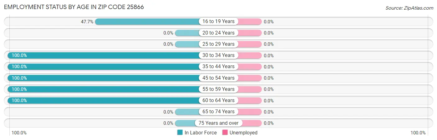 Employment Status by Age in Zip Code 25866