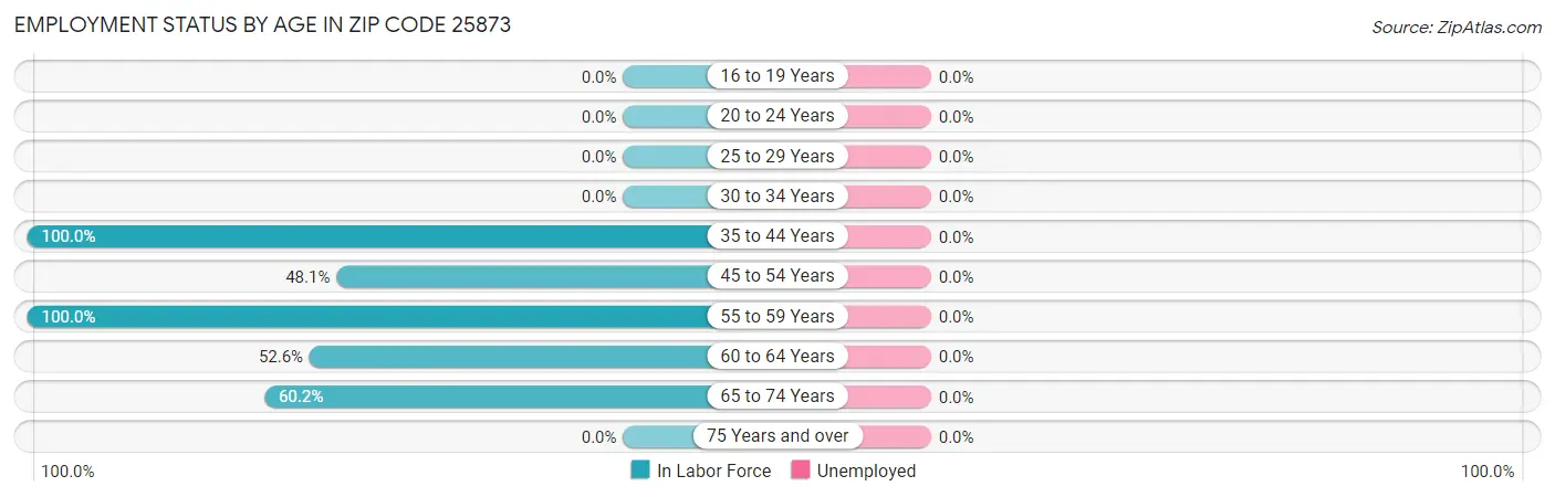 Employment Status by Age in Zip Code 25873