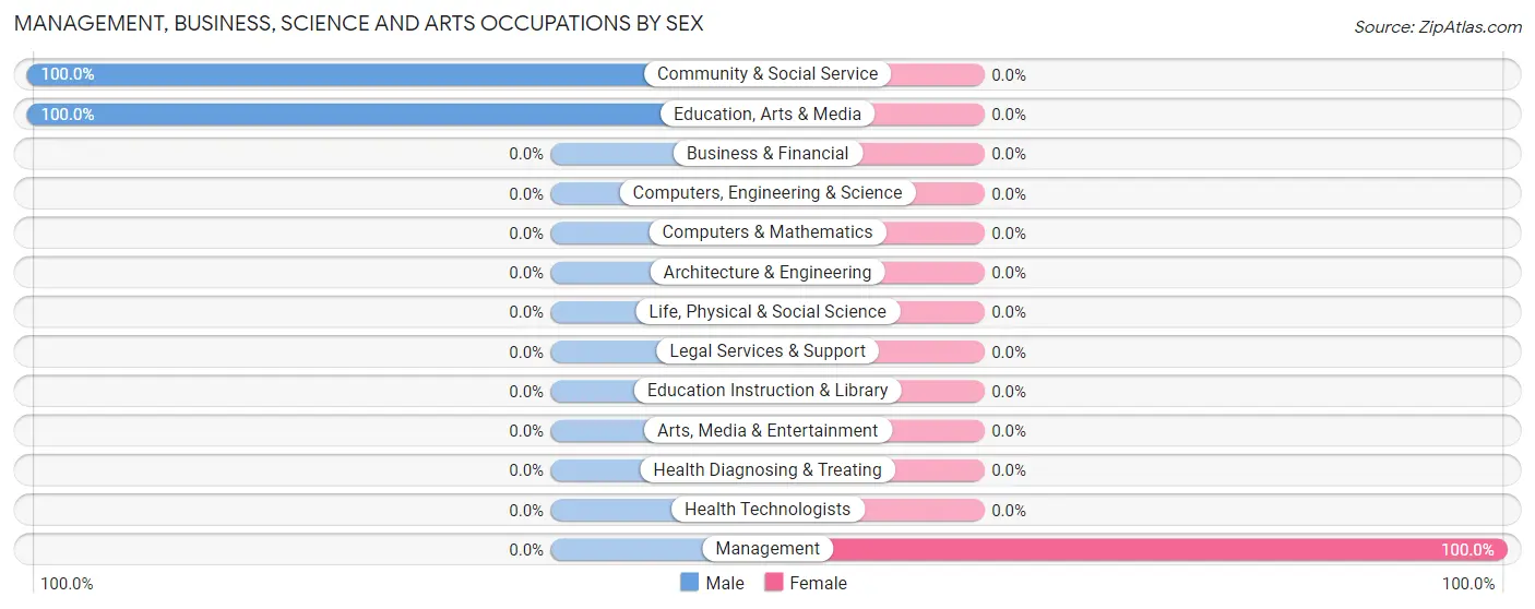 Management, Business, Science and Arts Occupations by Sex in Zip Code 25878