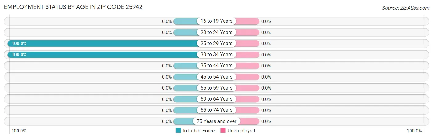 Employment Status by Age in Zip Code 25942