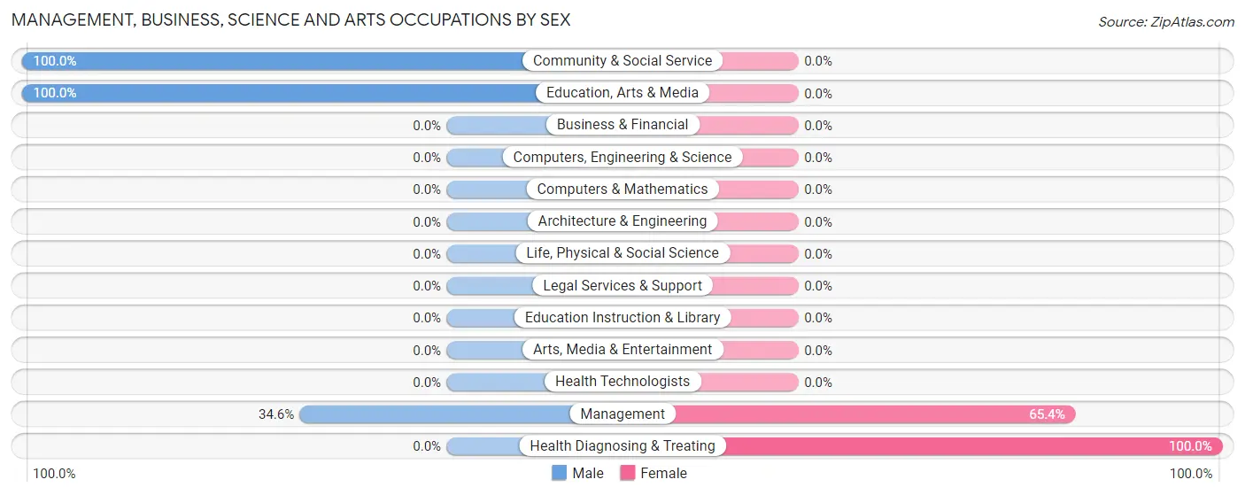 Management, Business, Science and Arts Occupations by Sex in Zip Code 25958