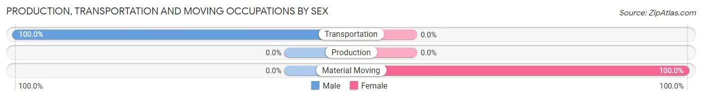Production, Transportation and Moving Occupations by Sex in Zip Code 25971