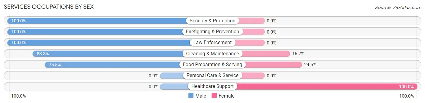 Services Occupations by Sex in Zip Code 25976