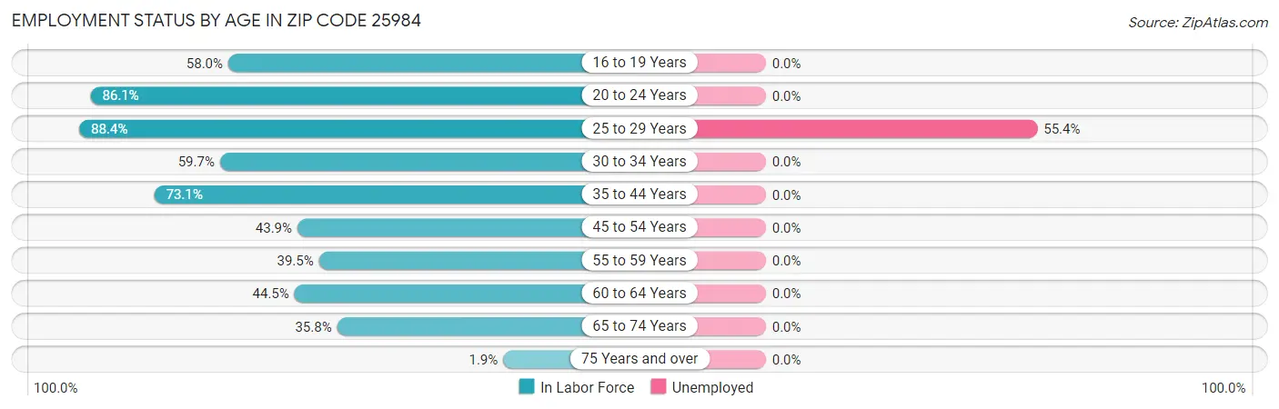 Employment Status by Age in Zip Code 25984