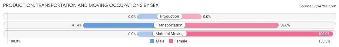 Production, Transportation and Moving Occupations by Sex in Zip Code 25985