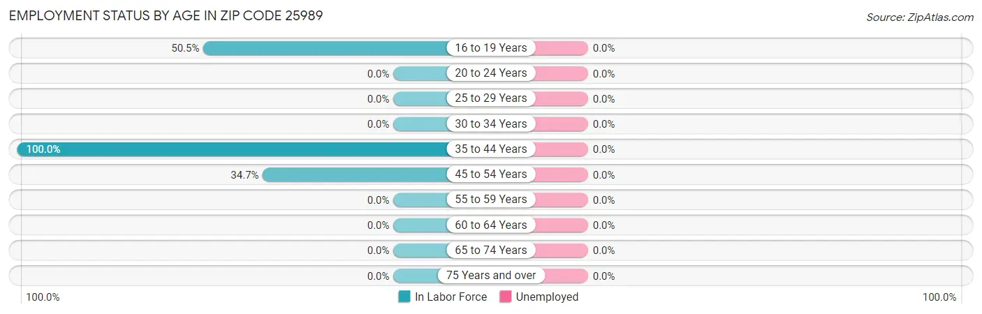 Employment Status by Age in Zip Code 25989
