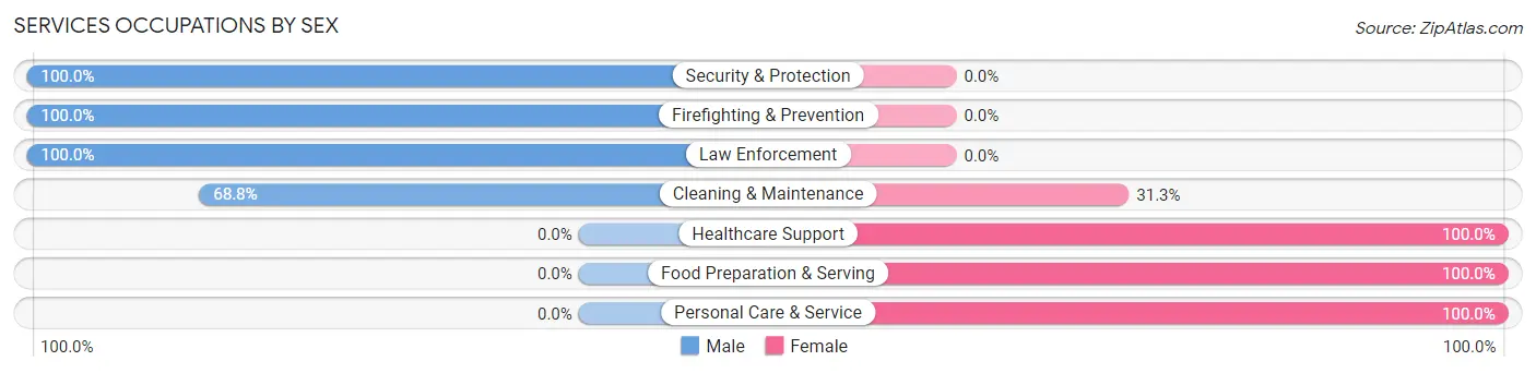 Services Occupations by Sex in Zip Code 26047