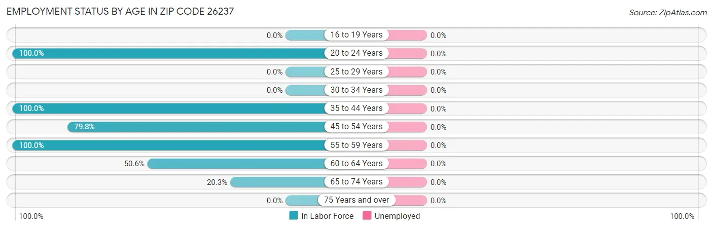 Employment Status by Age in Zip Code 26237
