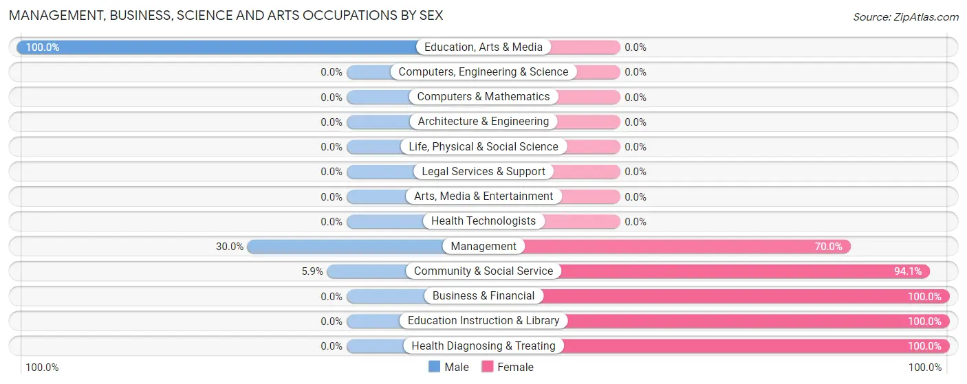 Management, Business, Science and Arts Occupations by Sex in Zip Code 26280
