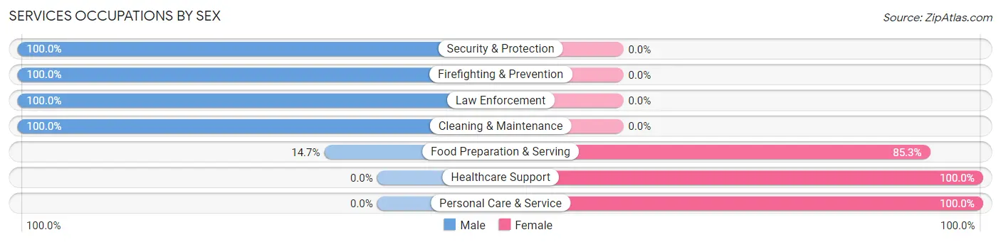 Services Occupations by Sex in Zip Code 26292