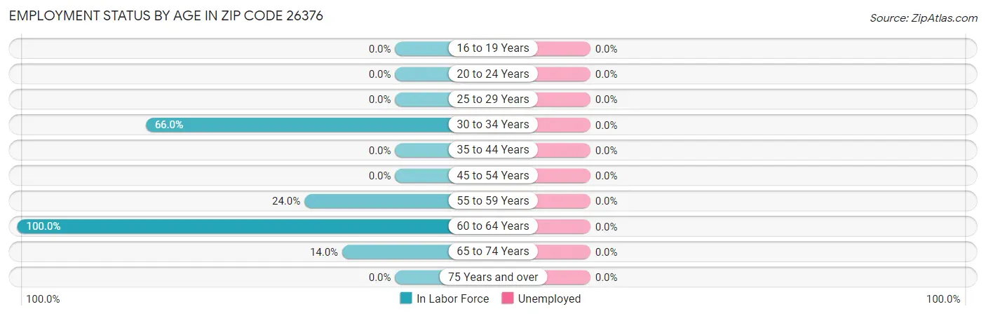 Employment Status by Age in Zip Code 26376