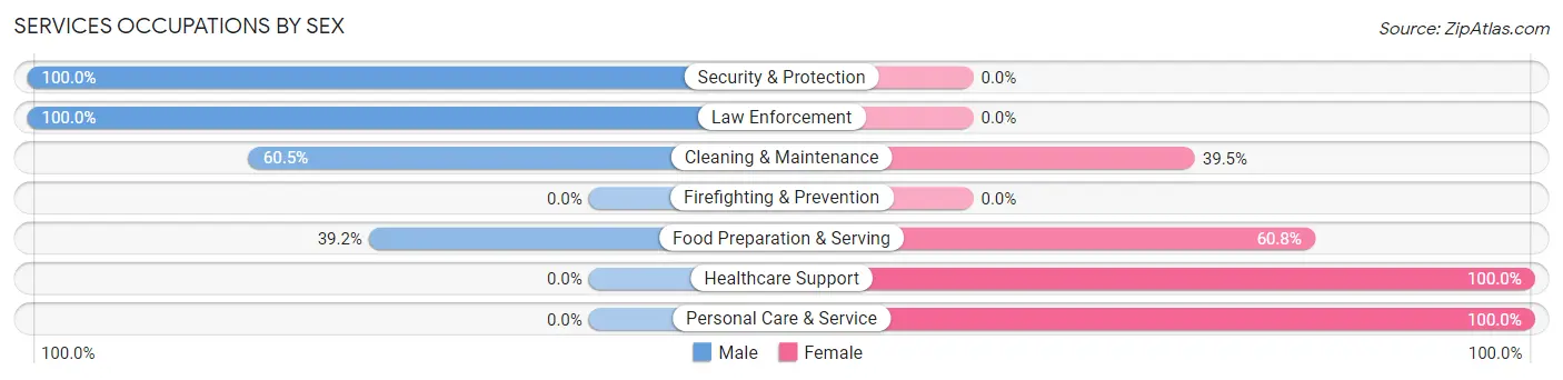 Services Occupations by Sex in Zip Code 26385