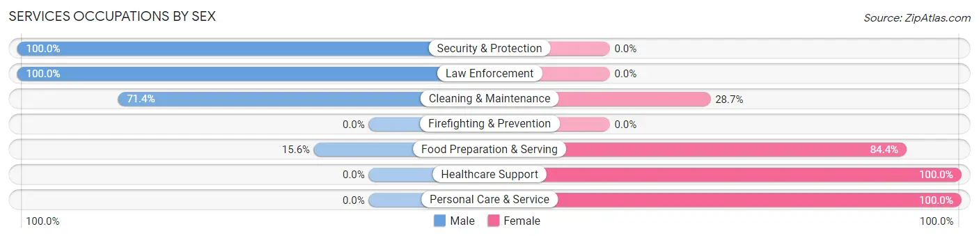 Services Occupations by Sex in Zip Code 26519
