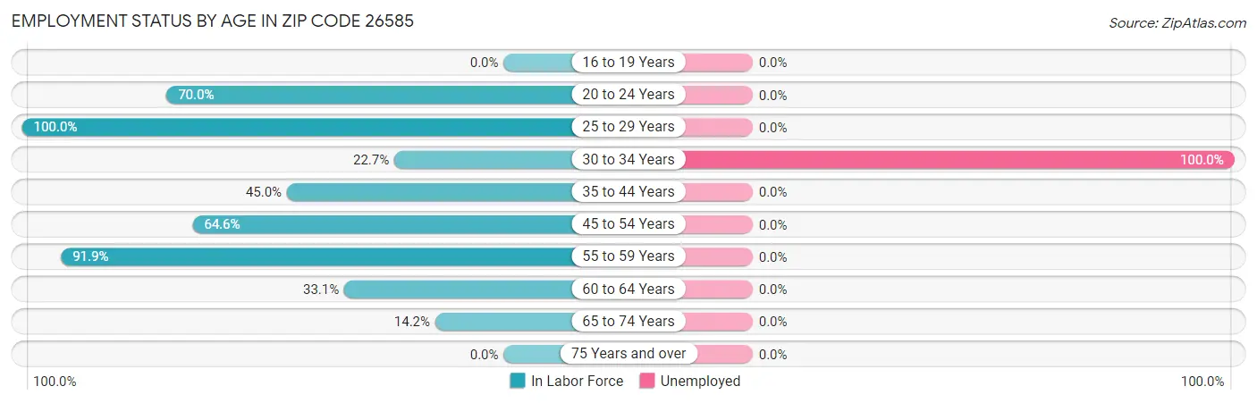 Employment Status by Age in Zip Code 26585