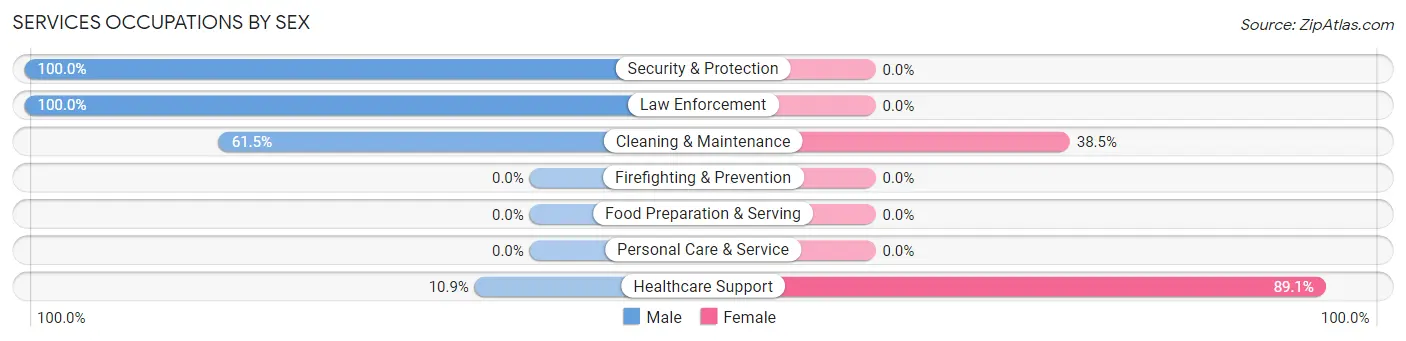 Services Occupations by Sex in Zip Code 26802