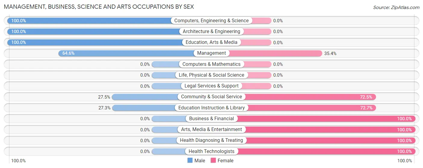 Management, Business, Science and Arts Occupations by Sex in Zip Code 26851