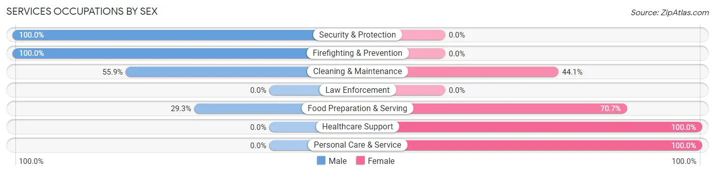 Services Occupations by Sex in Zip Code 27027