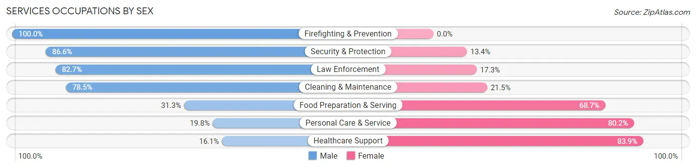 Services Occupations by Sex in Zip Code 27030