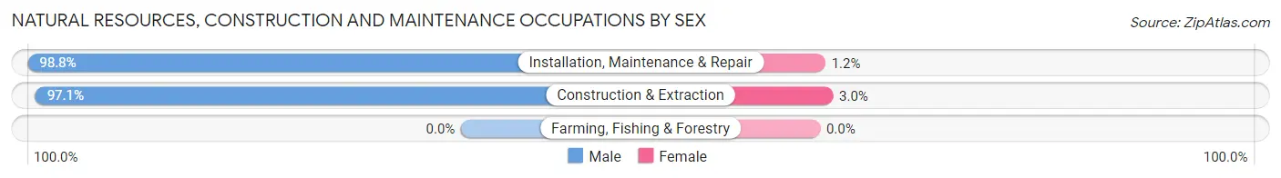 Natural Resources, Construction and Maintenance Occupations by Sex in Zip Code 27265
