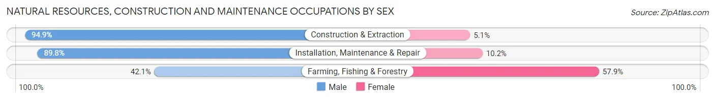Natural Resources, Construction and Maintenance Occupations by Sex in Zip Code 27406