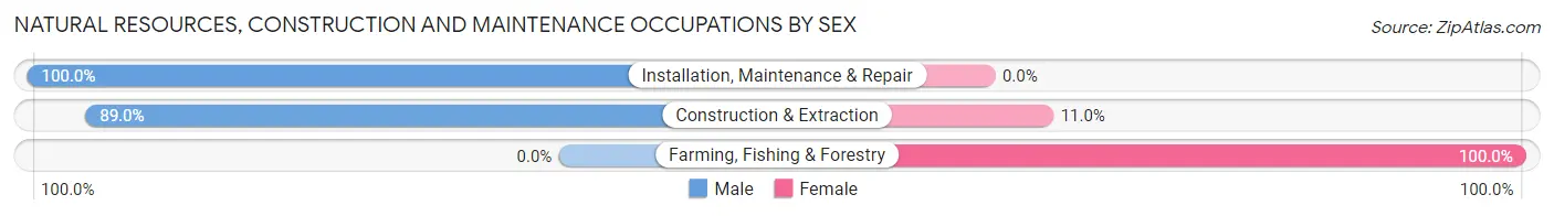 Natural Resources, Construction and Maintenance Occupations by Sex in Zip Code 27509