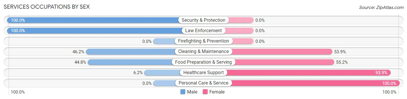 Services Occupations by Sex in Zip Code 27938