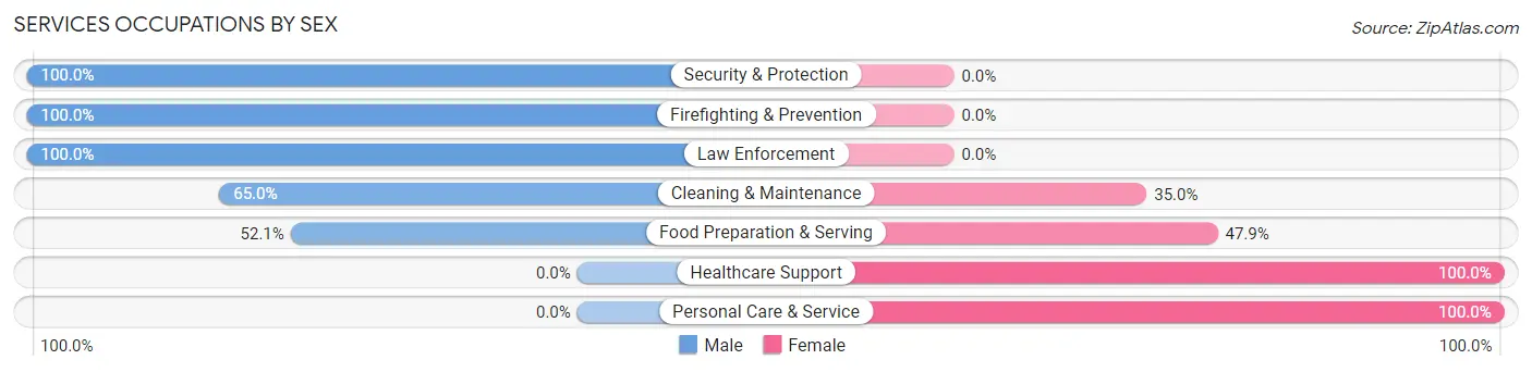 Services Occupations by Sex in Zip Code 27950