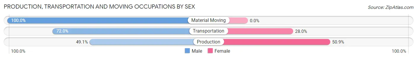 Production, Transportation and Moving Occupations by Sex in Zip Code 28009