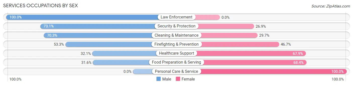 Services Occupations by Sex in Zip Code 28009