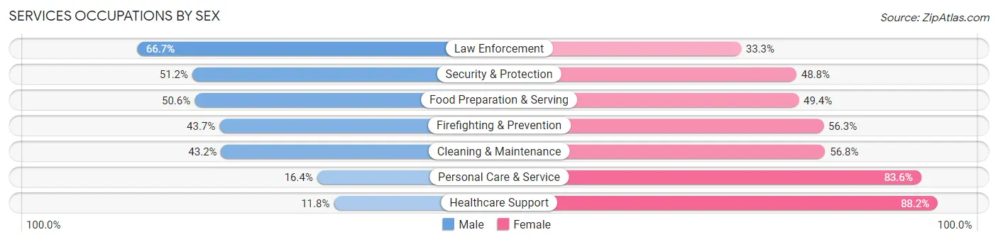Services Occupations by Sex in Zip Code 28025