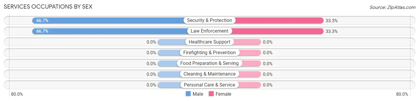 Services Occupations by Sex in Zip Code 28102