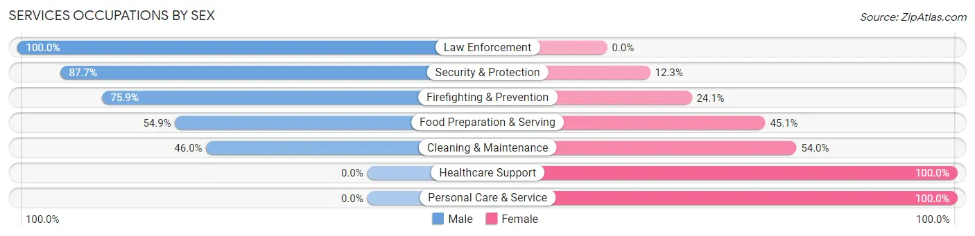 Services Occupations by Sex in Zip Code 28134