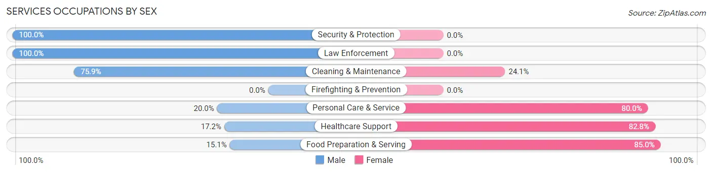 Services Occupations by Sex in Zip Code 28135