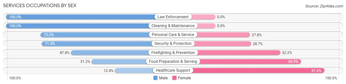 Services Occupations by Sex in Zip Code 28138