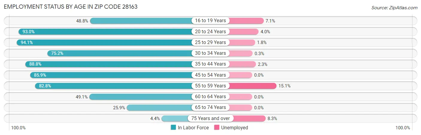 Employment Status by Age in Zip Code 28163
