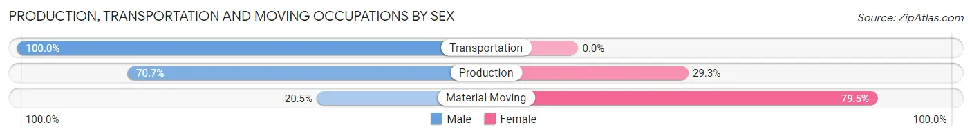 Production, Transportation and Moving Occupations by Sex in Zip Code 28163