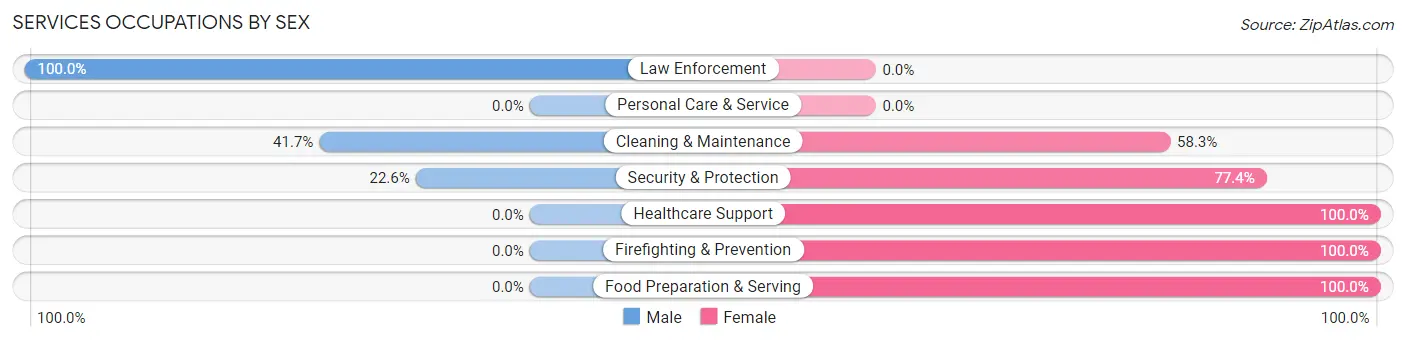Services Occupations by Sex in Zip Code 28167