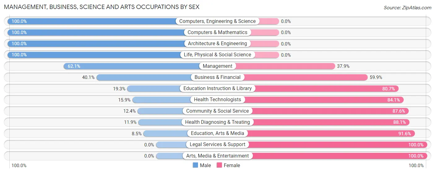 Management, Business, Science and Arts Occupations by Sex in Zip Code 28168