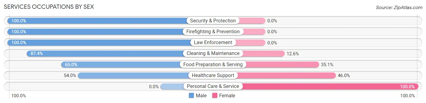 Services Occupations by Sex in Zip Code 28202