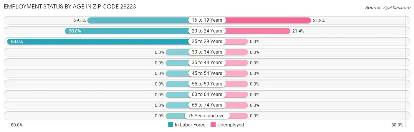 Employment Status by Age in Zip Code 28223