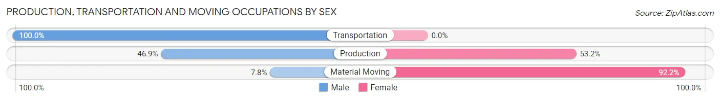 Production, Transportation and Moving Occupations by Sex in Zip Code 28307