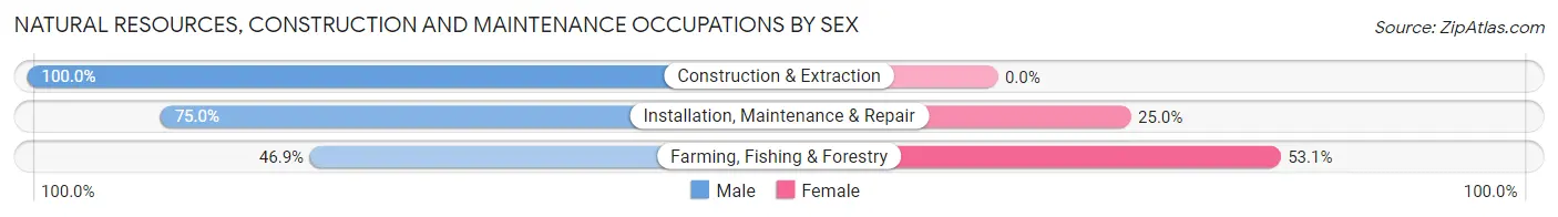 Natural Resources, Construction and Maintenance Occupations by Sex in Zip Code 28323