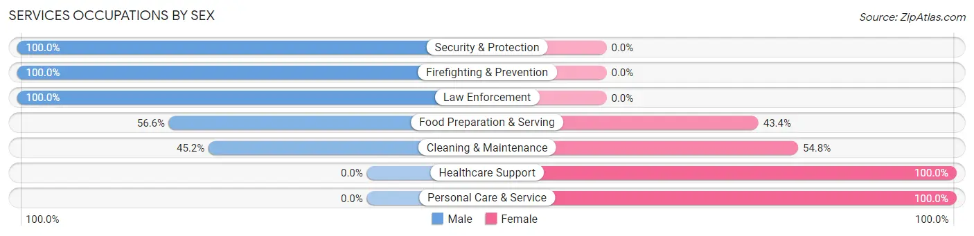 Services Occupations by Sex in Zip Code 28423